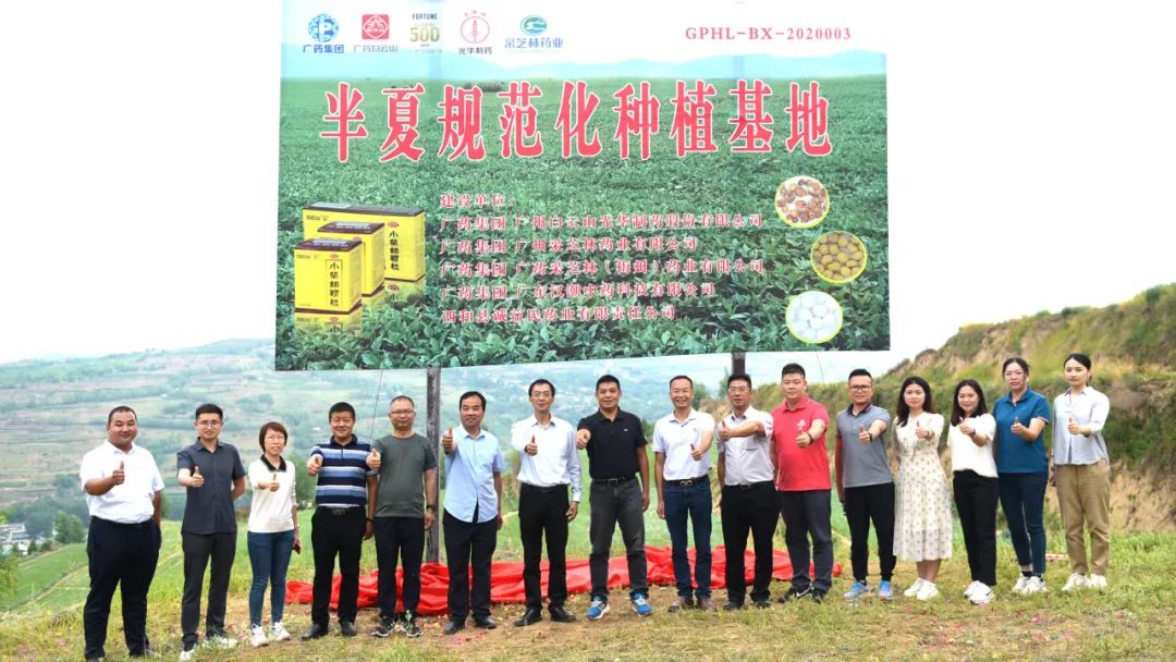 白云山永利集团公司实地考察调研中药材规范化基地